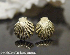 14k Solid Yellow Gold Sea Shell Clam Beach Earrings .55 Inch 14mm Long