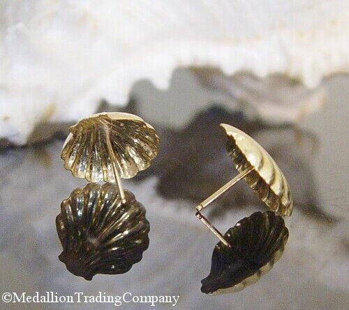 14k Solid Yellow Gold Sea Shell Clam Beach Earrings .55 Inch 14mm Long
